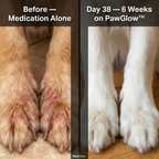 PawGlow™ Premium Liquid Collagen