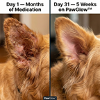 PawGlow™ Premium Liquid Collagen
